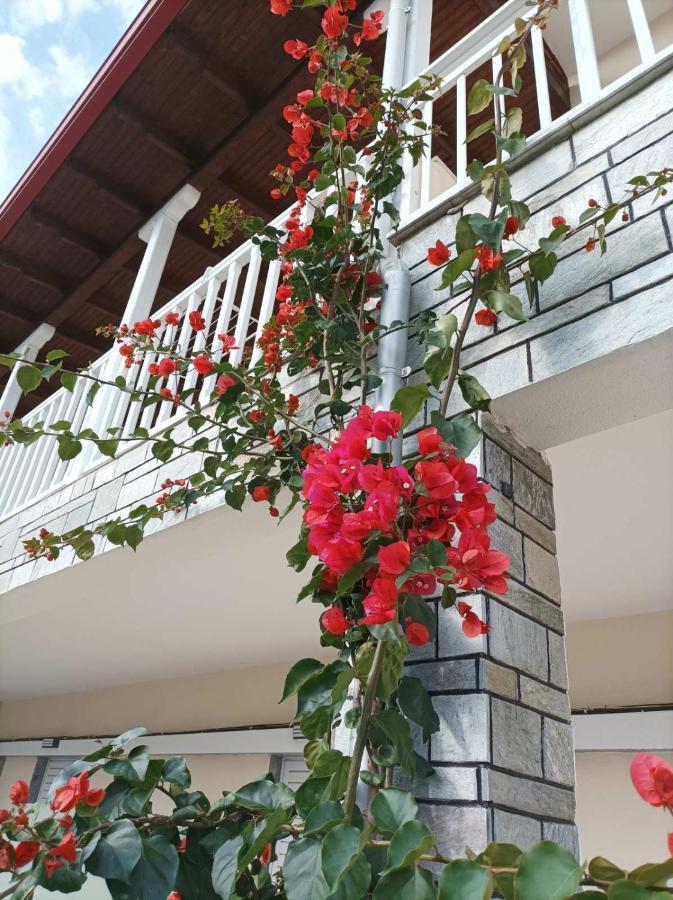 Bella Terra Nature Living *